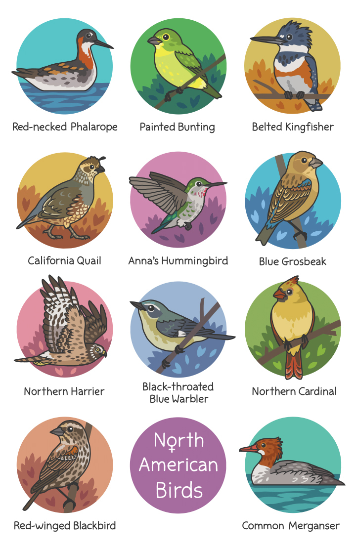 Female Birds — Rosemary Mosco